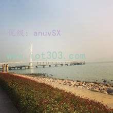 ָ