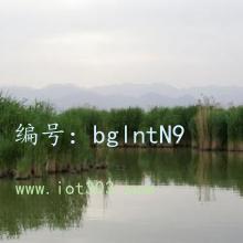 仯