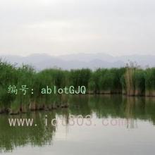 仯