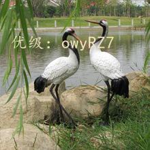 ѧ